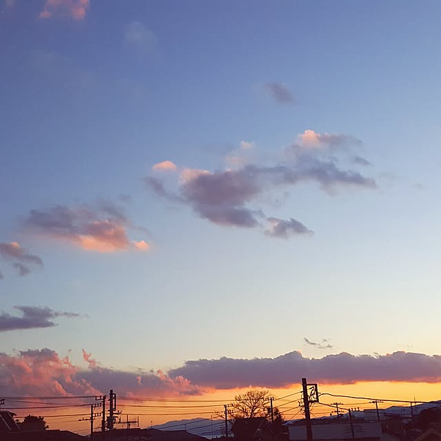 実例写真
