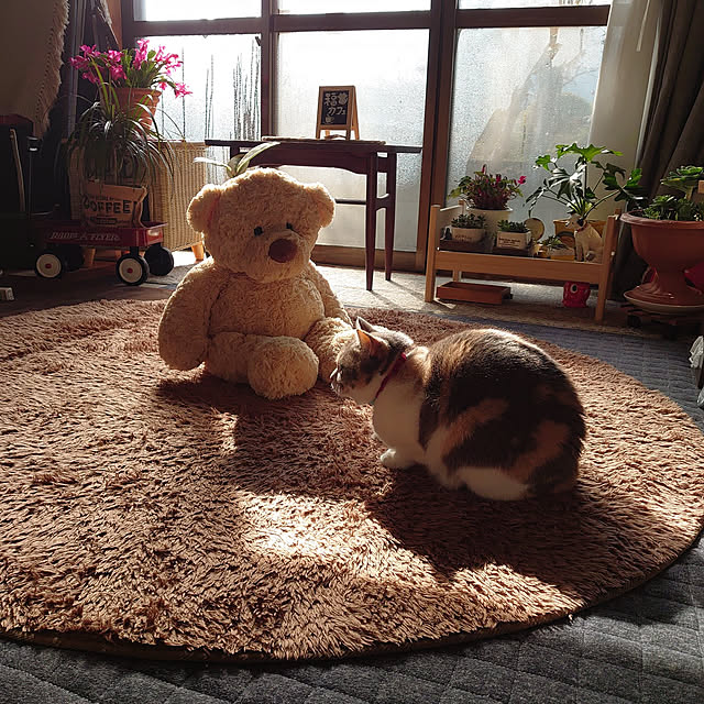 fukuさんの実例写真