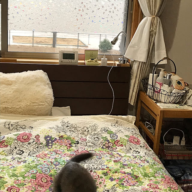 daikichiさんの実例写真