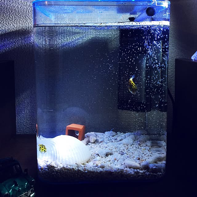 R2D2さんの実例写真