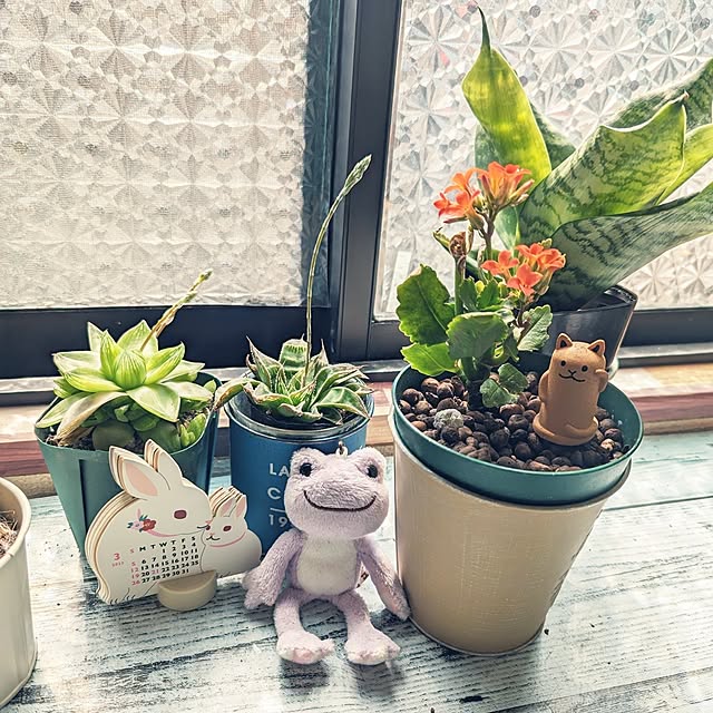 hiroさんの実例写真