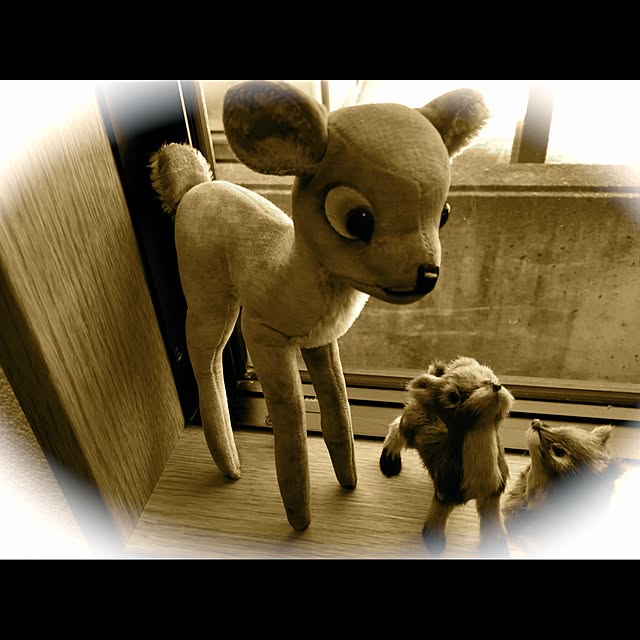 cootan195さんの実例写真