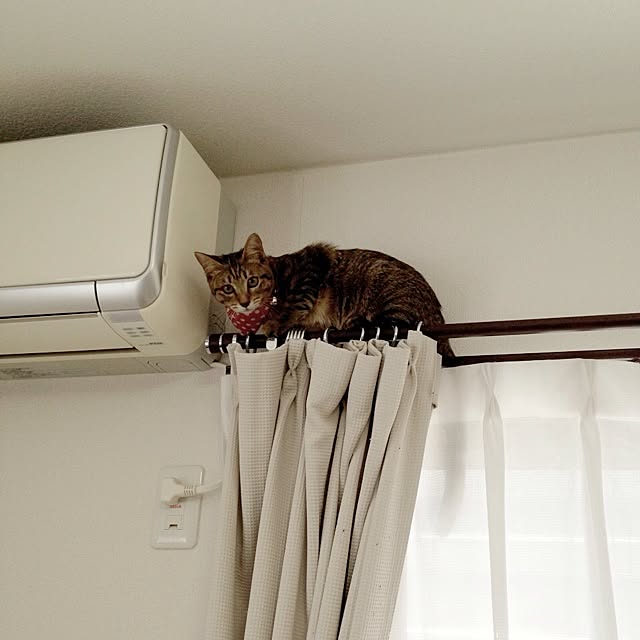 konatsuさんの実例写真