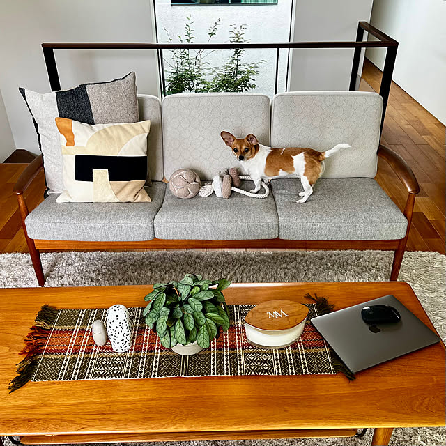 casa_omameさんの実例写真