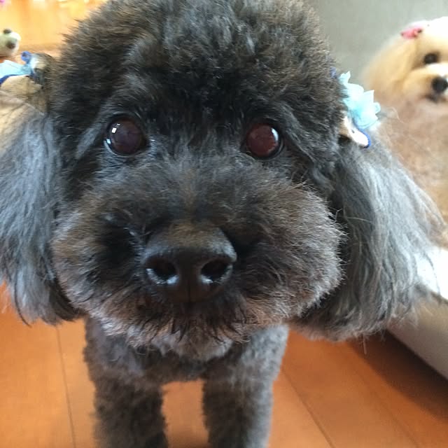 ASUKAさんの実例写真