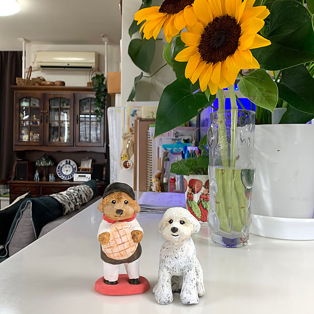 kotatsuさんの部屋
