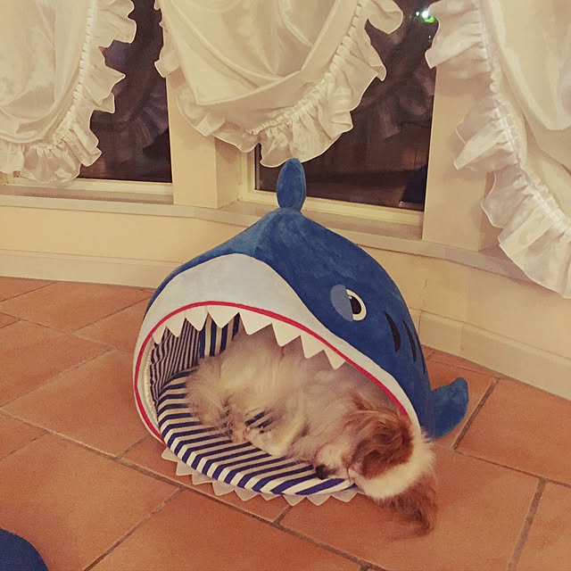 cocopicniさんの実例写真