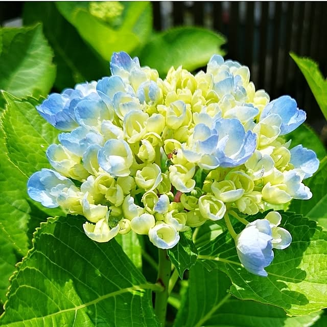 ku-garnet18さんの実例写真