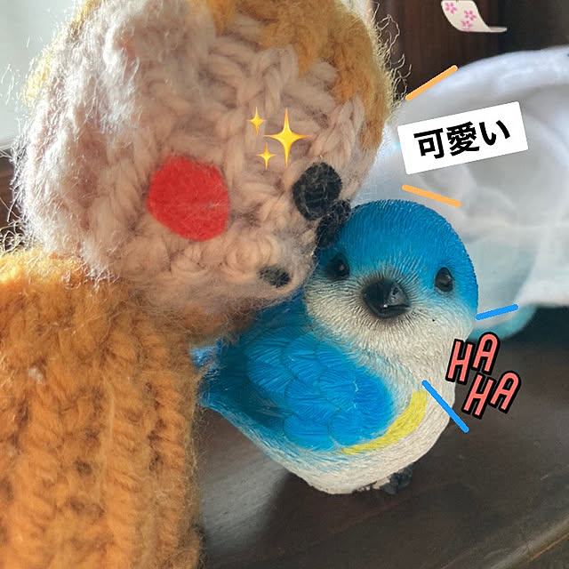 manduonmaさんの部屋