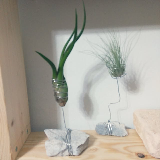 Onodaさんの実例写真