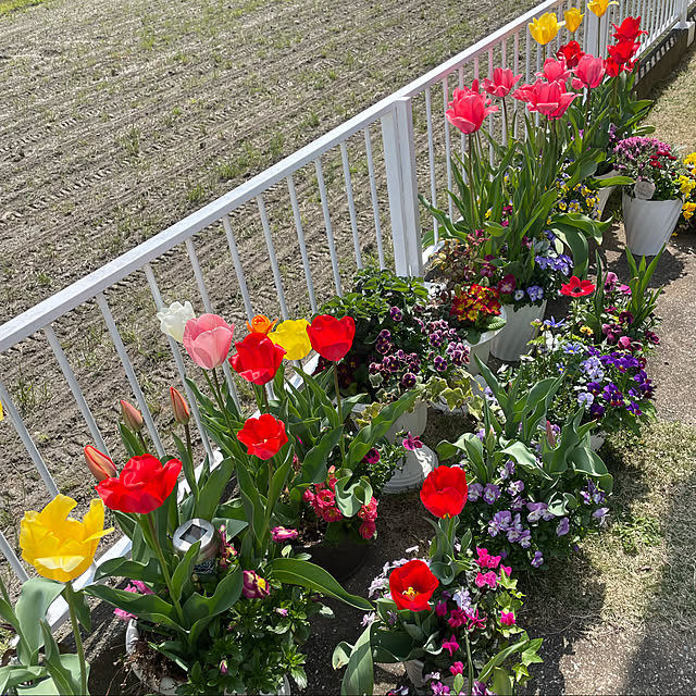 emikoさんの実例写真