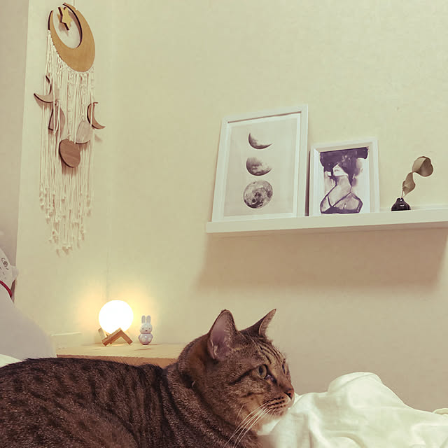 cha-ruさんの実例写真