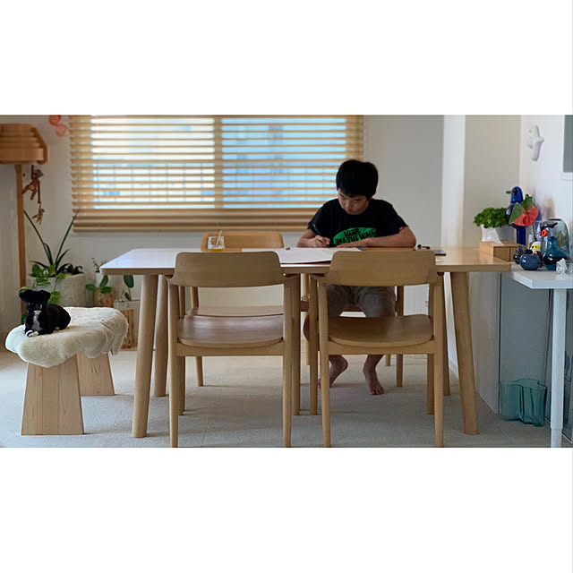haruhinaさんの実例写真