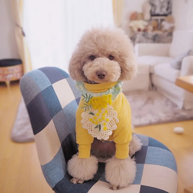 kirariさんの実例写真