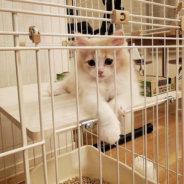 annyaさんの実例写真
