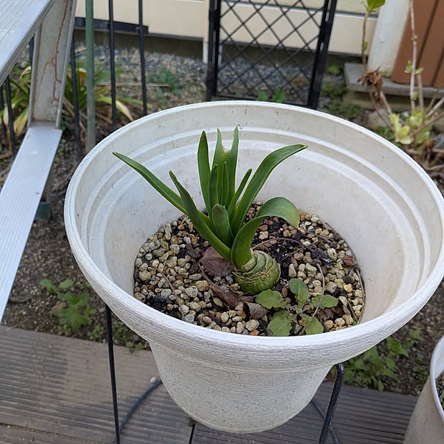 Bienvenueさんの部屋