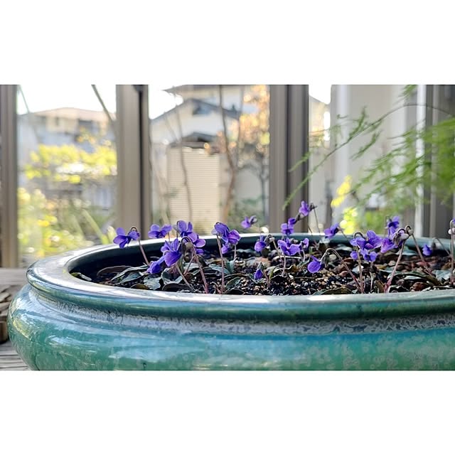 hana-さんの部屋