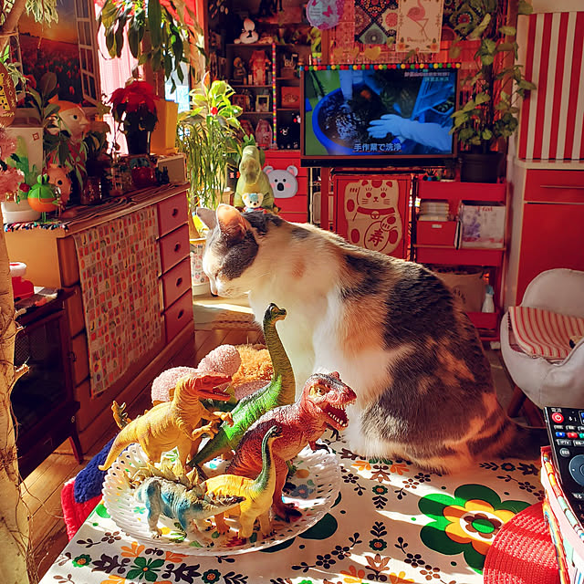 kumutanさんの実例写真