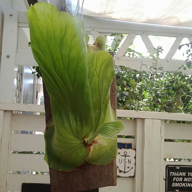 UGさんの実例写真