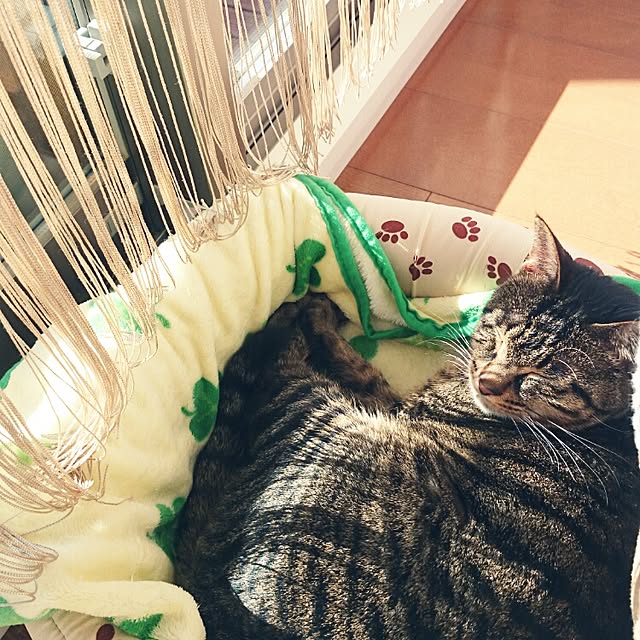 Masamiさんの実例写真