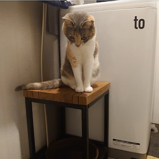 fukuさんの実例写真