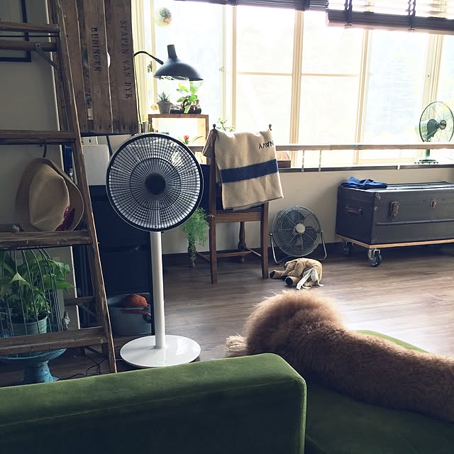 Megumiさんの実例写真