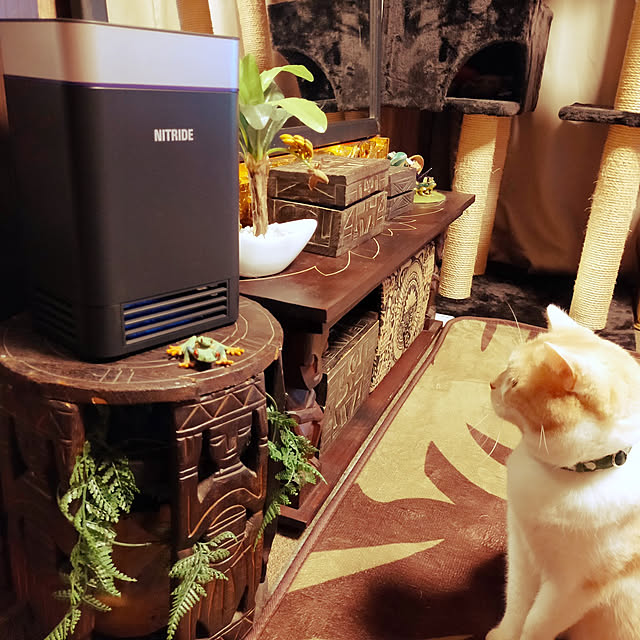 kobakissaさんの実例写真