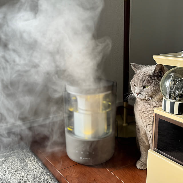 chulashihoさんの実例写真