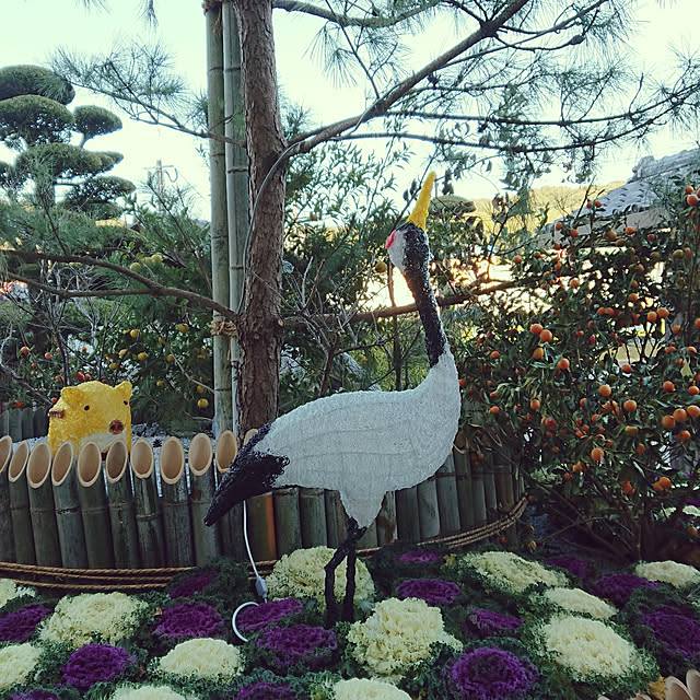 kogumaさんの実例写真