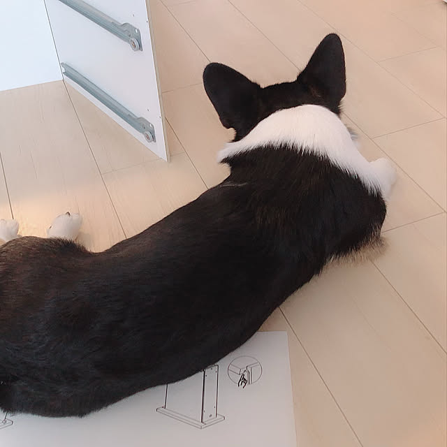 Ruiさんの実例写真