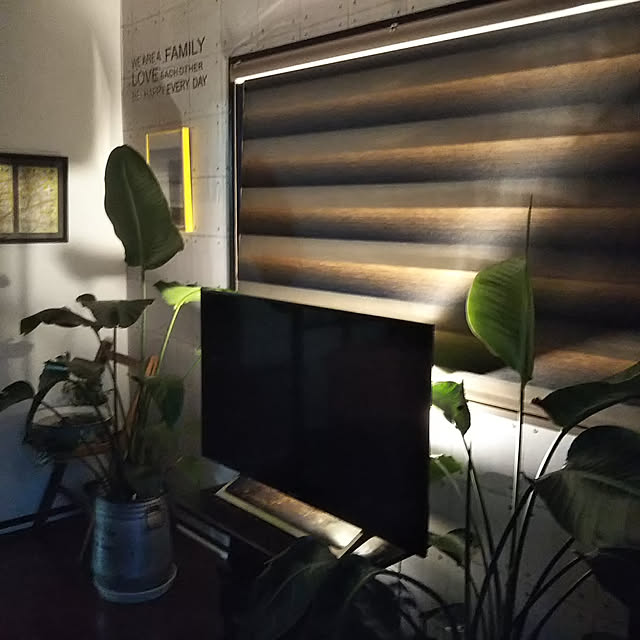部屋全体のインテリア実例 - 2019-08-01 11:31:11