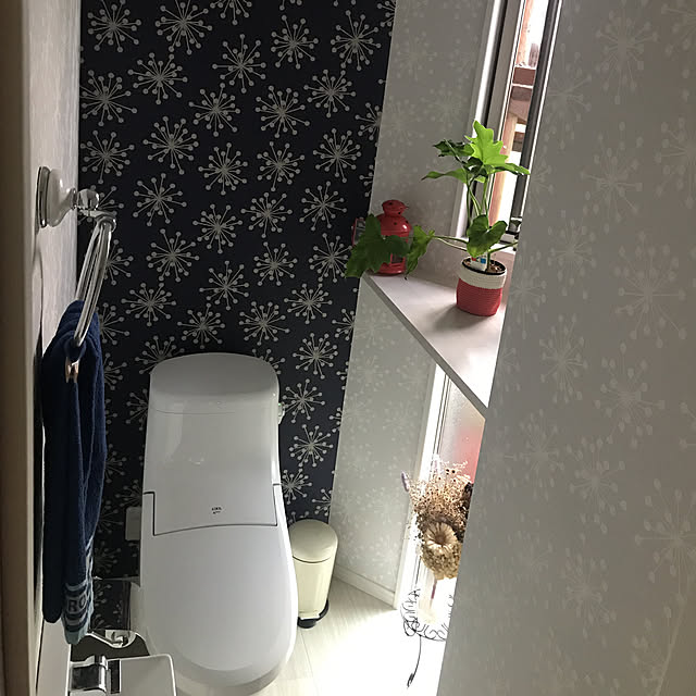 Yakoさんの実例写真
