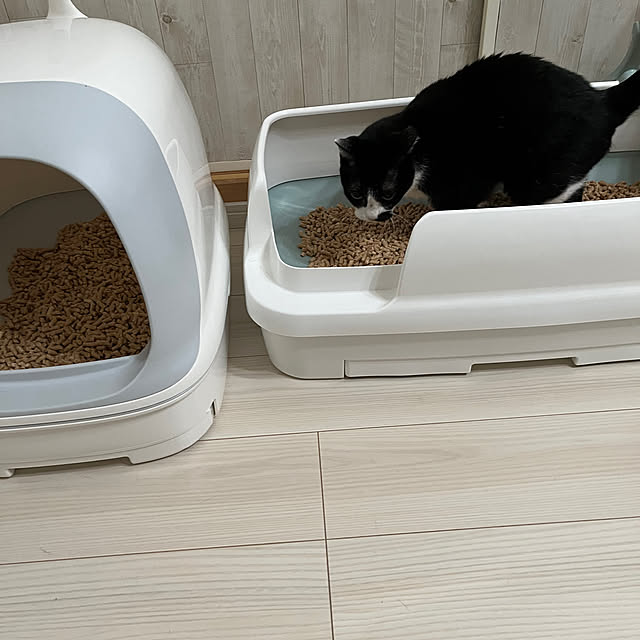 chatnoirさんの部屋