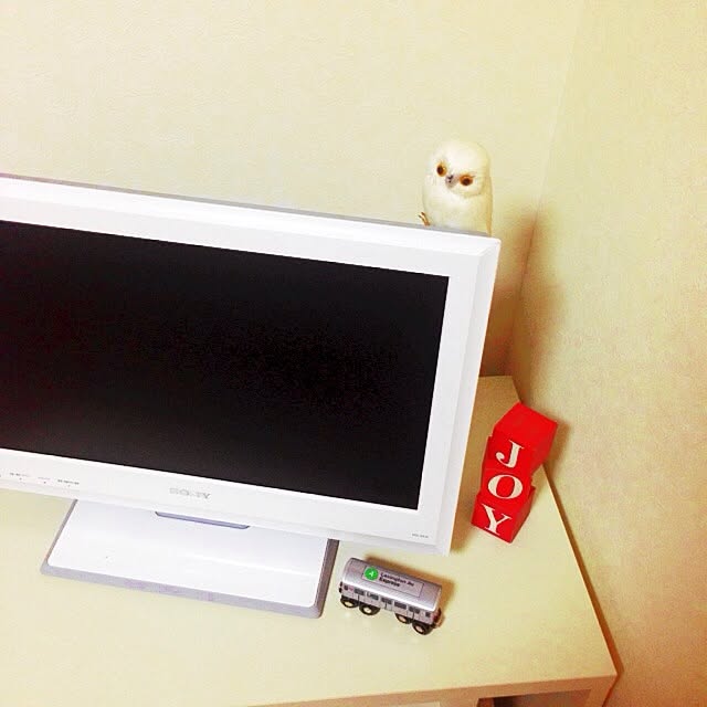 lily.0630さんの実例写真