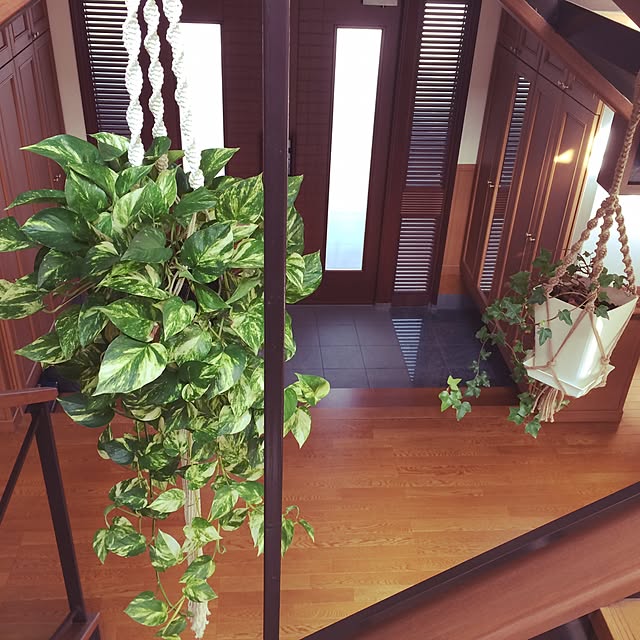 haleさんの実例写真