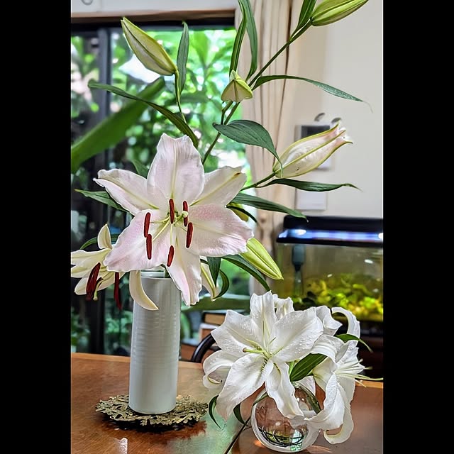 aromameさんの実例写真