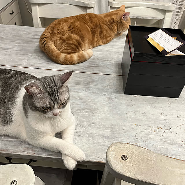 Atelier.mさんの実例写真