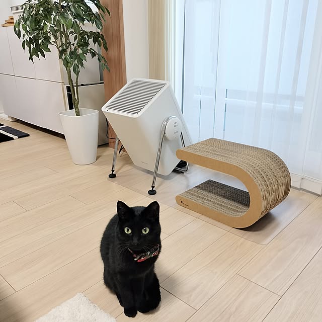 sakuraさんの実例写真