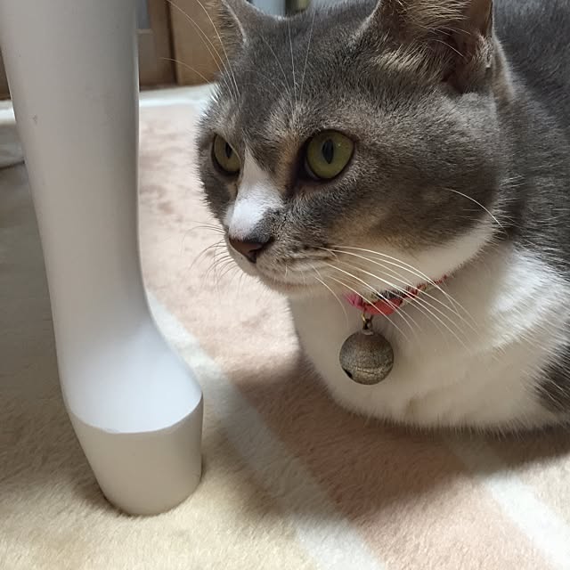 tiduruさんの実例写真