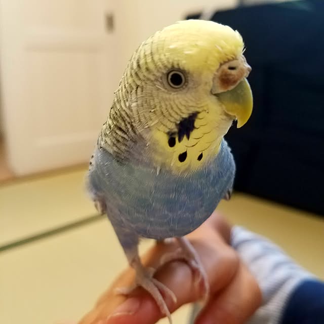 C.Tさんの実例写真