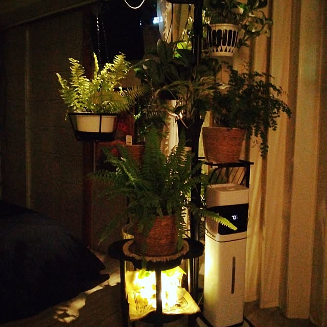 runaさんの実例写真