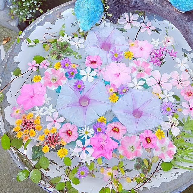 mocomocoさんの部屋