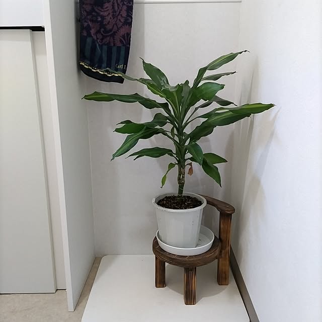 kuririnmamaさんの部屋