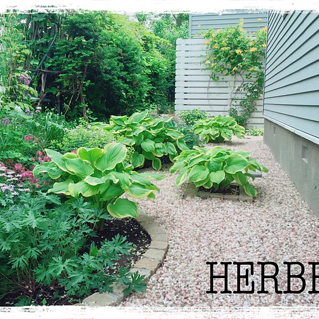 HERBEEさんの実例写真