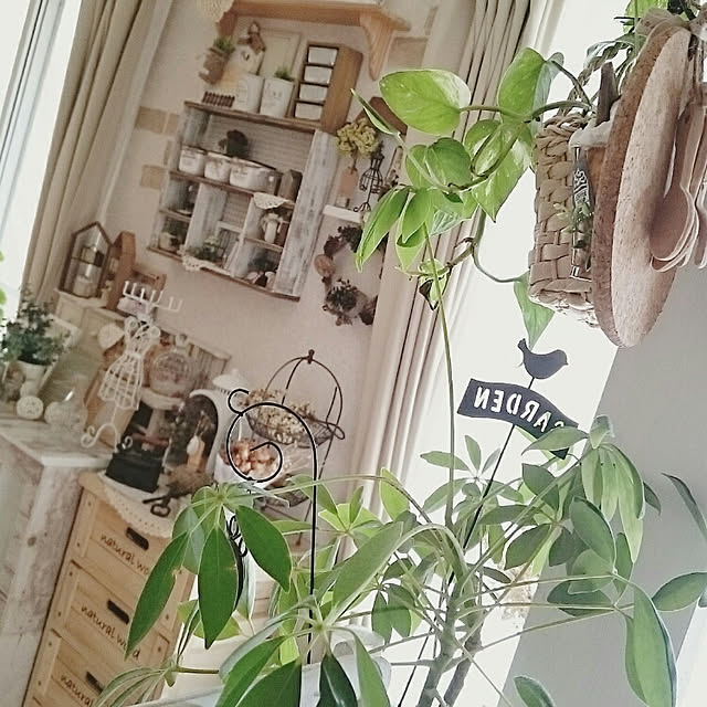 misaさんの実例写真