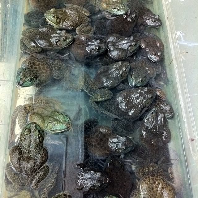 usataro27さんの実例写真