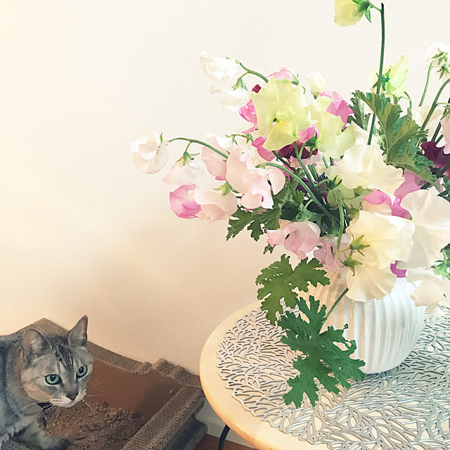 maroさんの実例写真