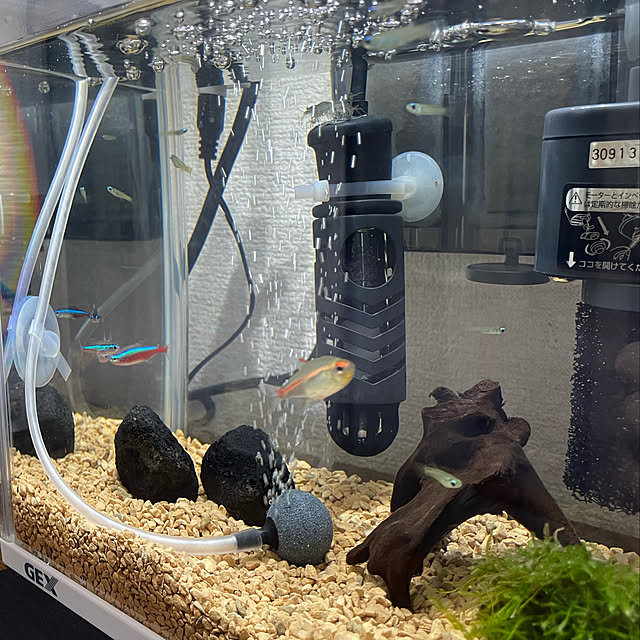 honpoさんの実例写真