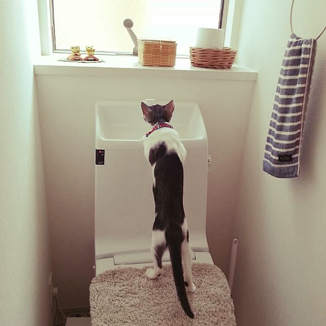 yanapi0825さんの実例写真