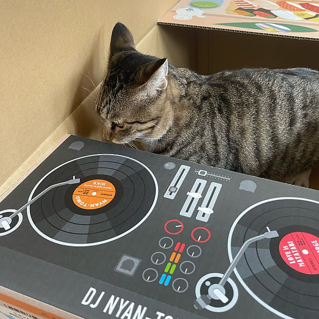 manekinekoさんの実例写真